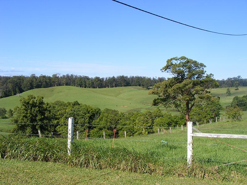 197 North Bank Road, Bellingen NSW 2454