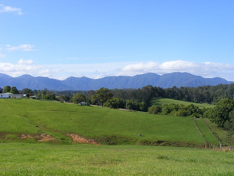197 North Bank Road, Bellingen NSW 2454