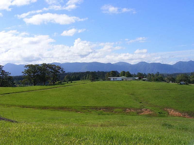 197 North Bank Road, Bellingen NSW 2454