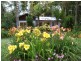 484 Summervilles Rd,Thora, Bellingen NSW 2454