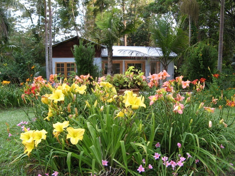 484 Summervilles Rd,Thora, Bellingen NSW 2454