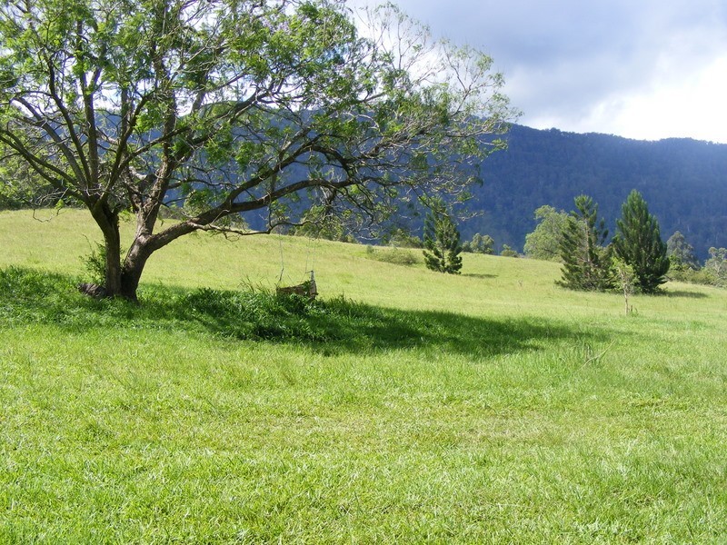484 Summervilles Rd,Thora, Bellingen NSW 2454