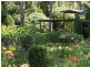 484 Summervilles Rd,Thora, Bellingen NSW 2454