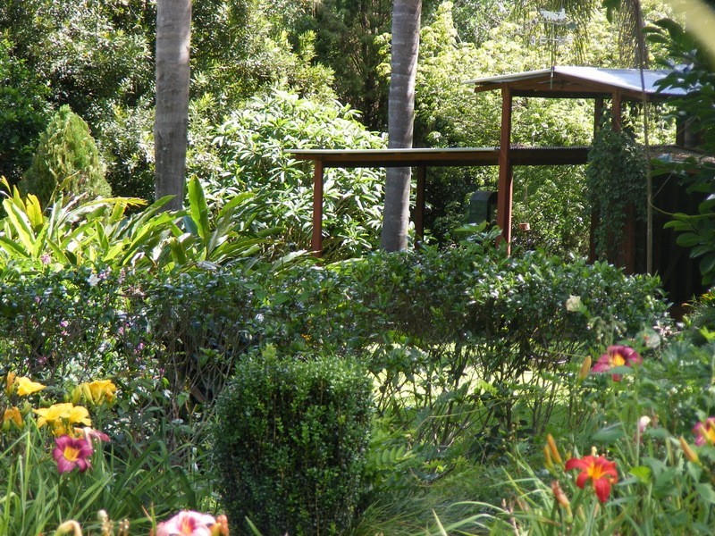 484 Summervilles Rd,Thora, Bellingen NSW 2454