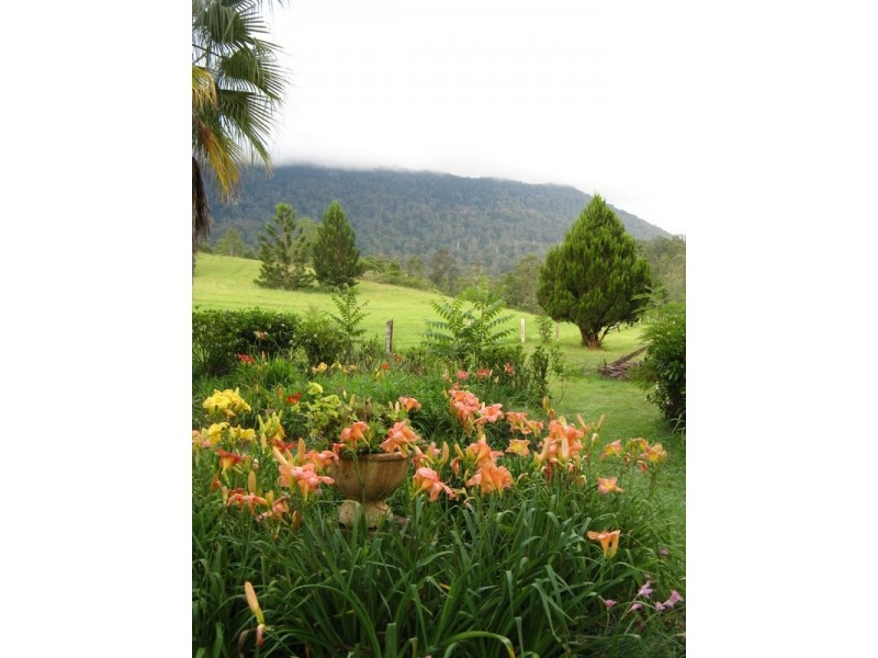 484 Summervilles Rd,Thora, Bellingen NSW 2454