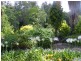 484 Summervilles Rd,Thora, Bellingen NSW 2454