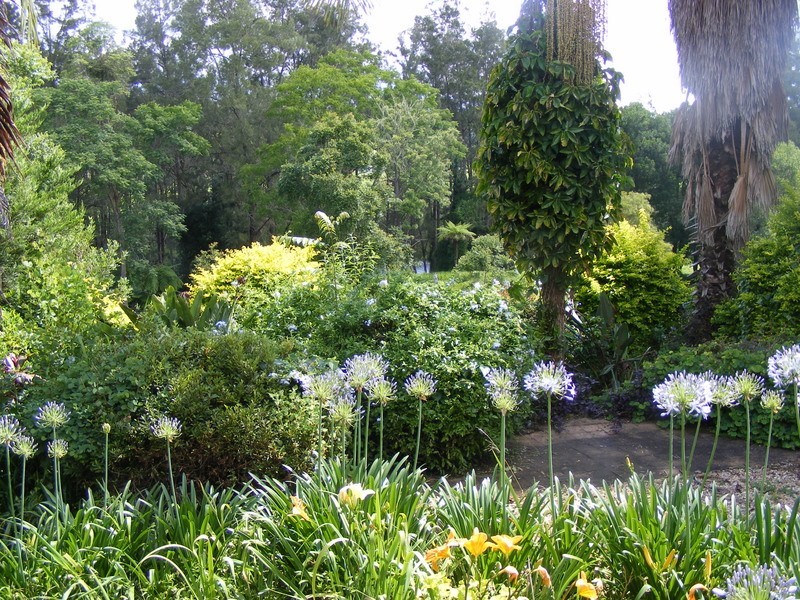 484 Summervilles Rd,Thora, Bellingen NSW 2454