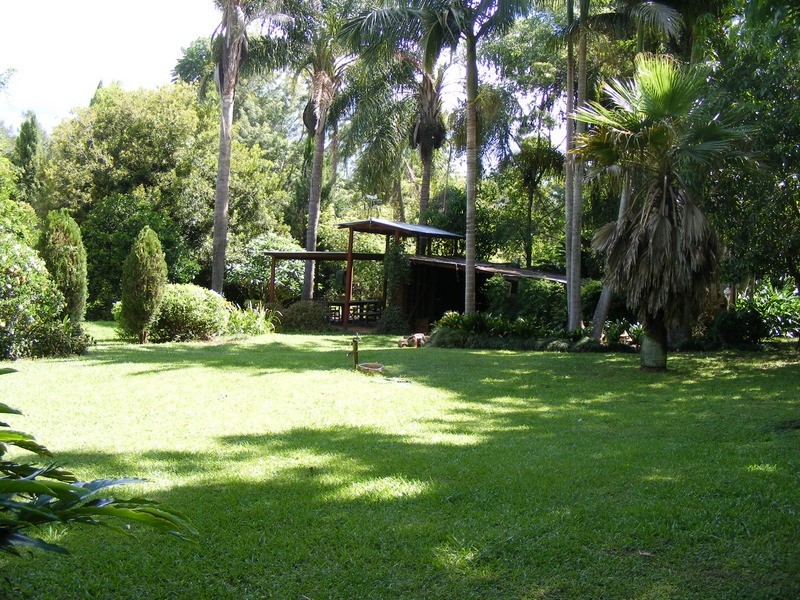 484 Summervilles Rd,Thora, Bellingen NSW 2454