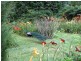 484 Summervilles Rd,Thora, Bellingen NSW 2454