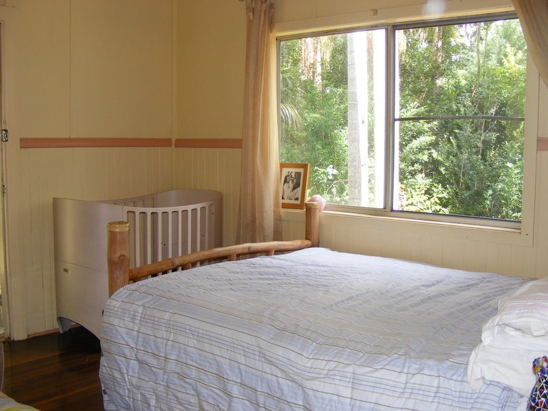484 Summervilles Rd,Thora, Bellingen NSW 2454