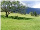 484 Summervilles Rd,Thora, Bellingen NSW 2454