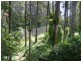 484 Summervilles Rd,Thora, Bellingen NSW 2454