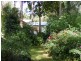 484 Summervilles Rd,Thora, Bellingen NSW 2454