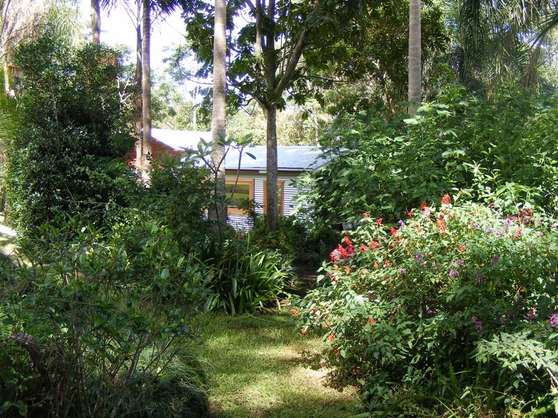 484 Summervilles Rd,Thora, Bellingen NSW 2454