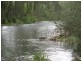 484 Summervilles Rd,Thora, Bellingen NSW 2454