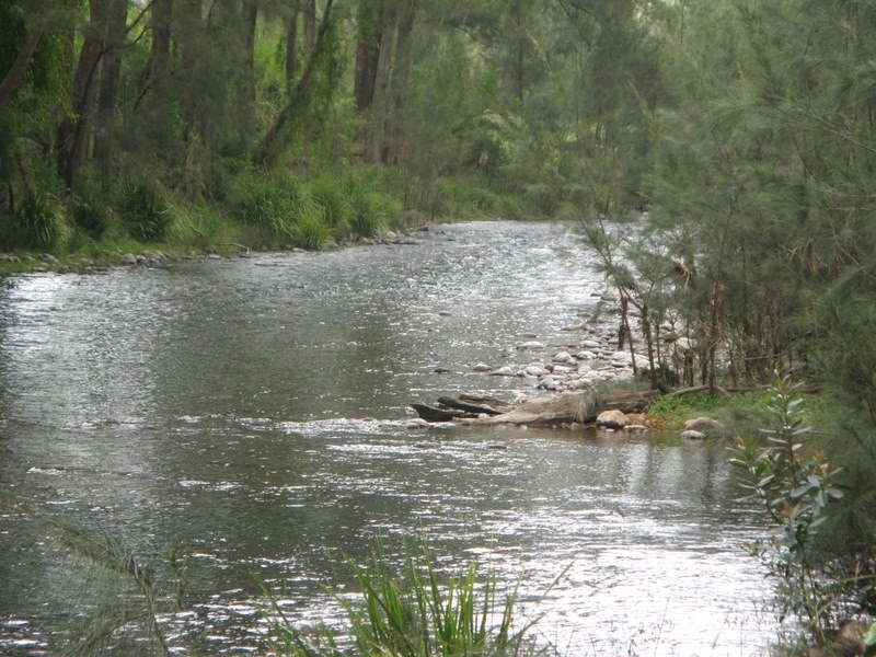 484 Summervilles Rd,Thora, Bellingen NSW 2454