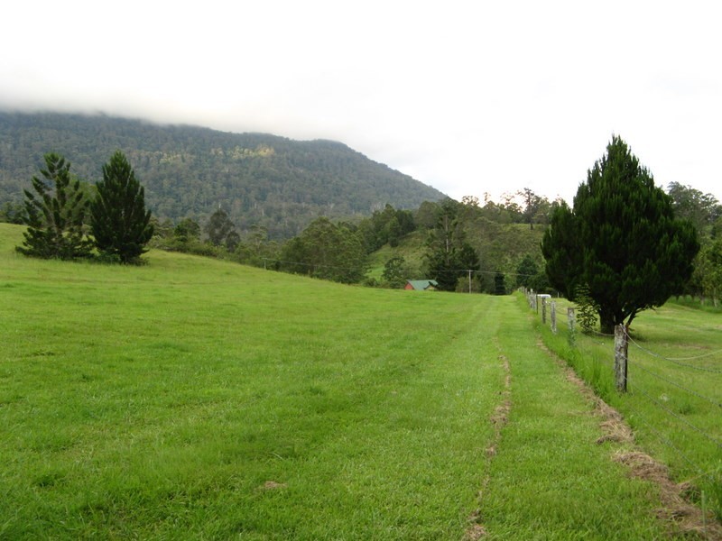 484 Summervilles Rd,Thora, Bellingen NSW 2454