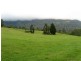 484 Summervilles Rd,Thora, Bellingen NSW 2454