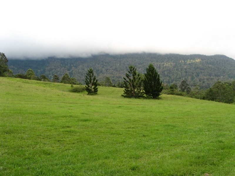 484 Summervilles Rd,Thora, Bellingen NSW 2454