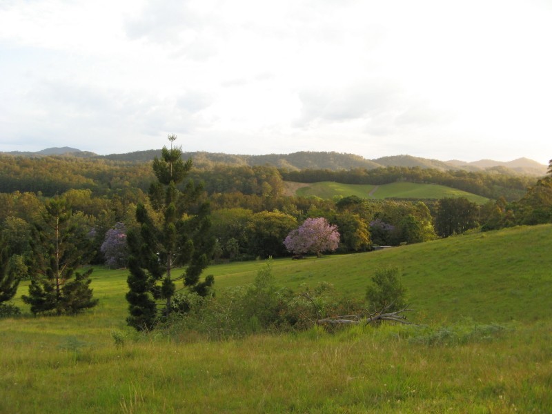 484 Summervilles Rd,Thora, Bellingen NSW 2454