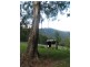484 Summervilles Rd,Thora, Bellingen NSW 2454