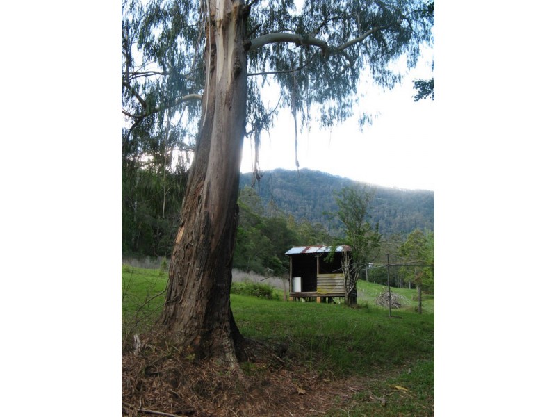 484 Summervilles Rd,Thora, Bellingen NSW 2454