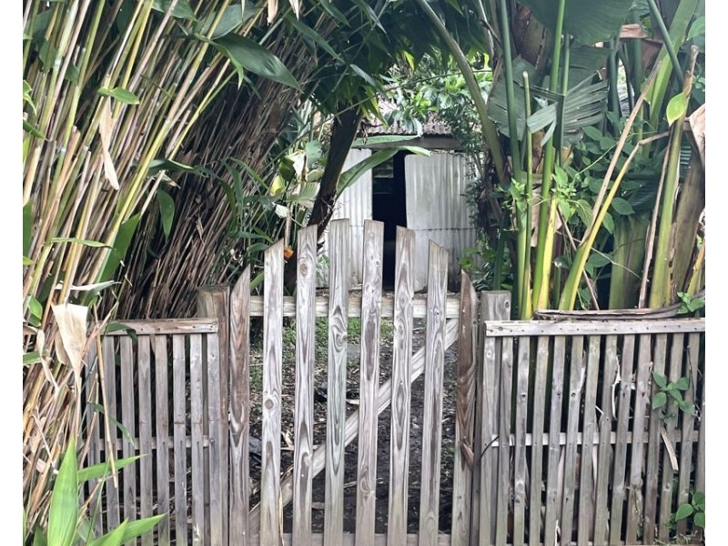 43 Wheatley Street, Bellingen NSW 2454