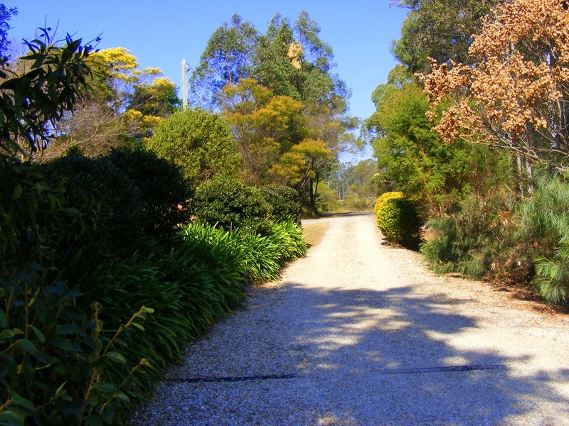 69 Henry Boultwood Dr, Bellingen NSW 2454