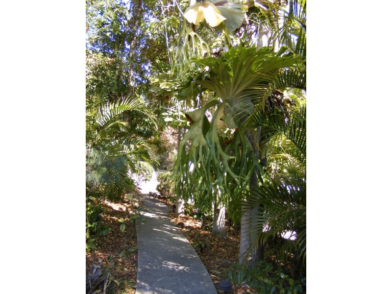 69 Henry Boultwood Dr, Bellingen NSW 2454