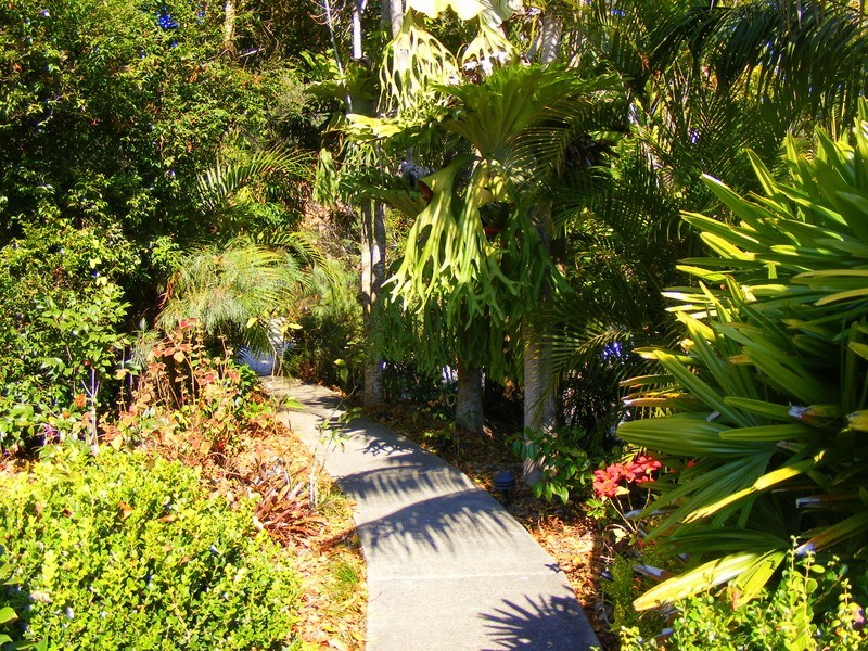 69 Henry Boultwood Dr, Bellingen NSW 2454