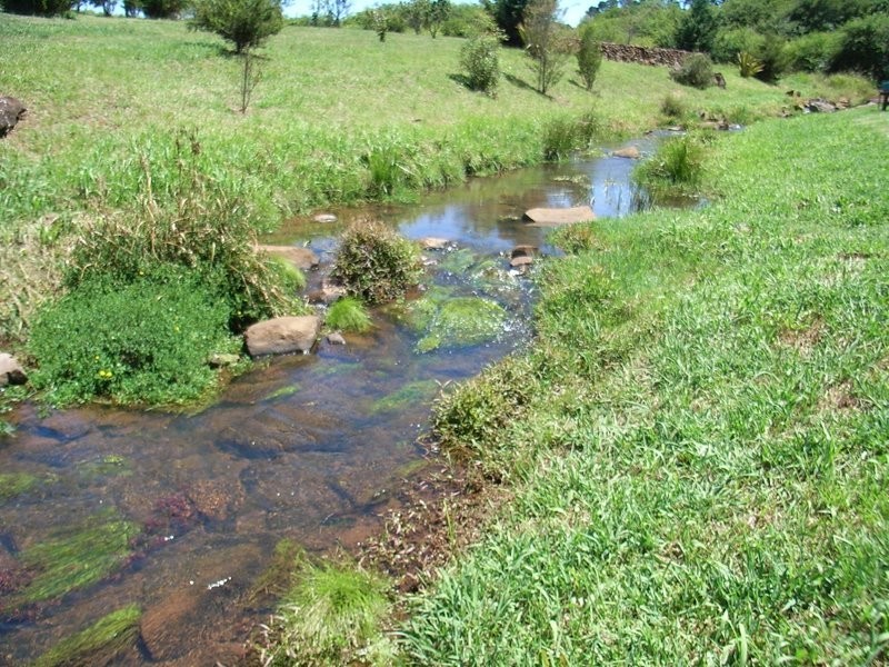 9 Elm Avenue, Dorrigo NSW 2453