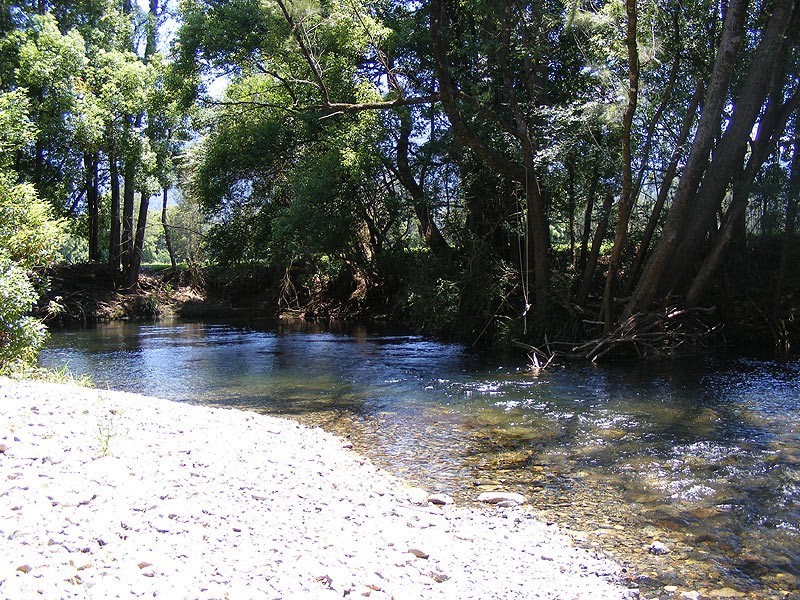 69 Gordonville Road Gleniffer, Bellingen NSW 2454