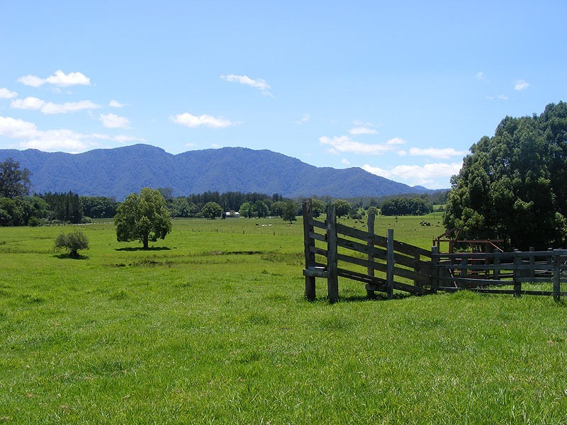 69 Gordonville Road Gleniffer, Bellingen NSW 2454