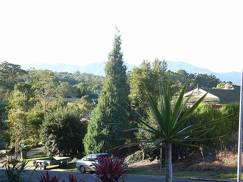 1 McCristal  Drive, Bellingen NSW 2454