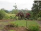 Bellingen NSW 2454