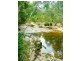 807 Kalang Rd Kalang, Bellingen NSW 2454
