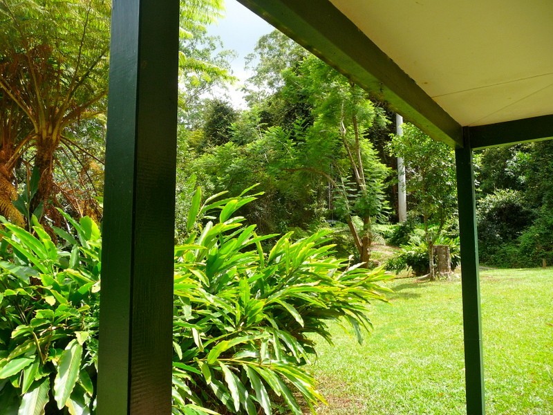 807 Kalang Rd Kalang, Bellingen NSW 2454