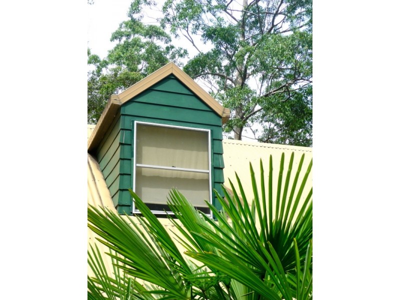 807 Kalang Rd Kalang, Bellingen NSW 2454