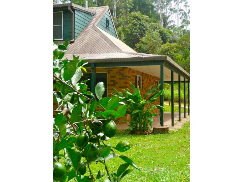 807 Kalang Rd Kalang, Bellingen NSW 2454