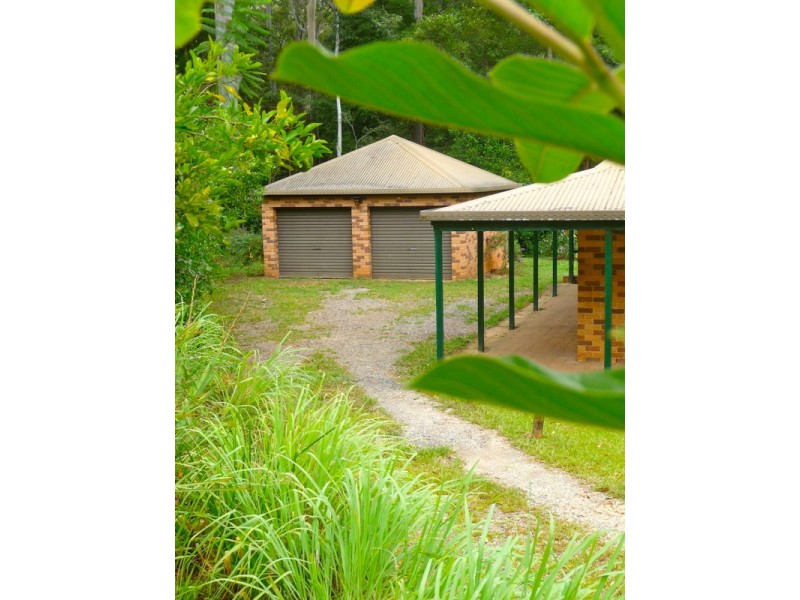807 Kalang Rd Kalang, Bellingen NSW 2454