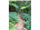 807 Kalang Rd Kalang, Bellingen NSW 2454
