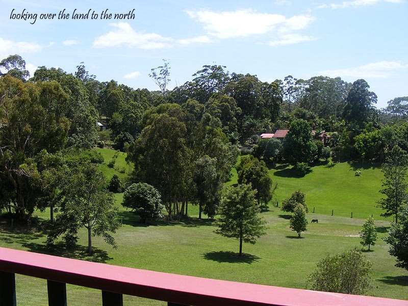 49 Tuckers Rock Road, Repton NSW 2454