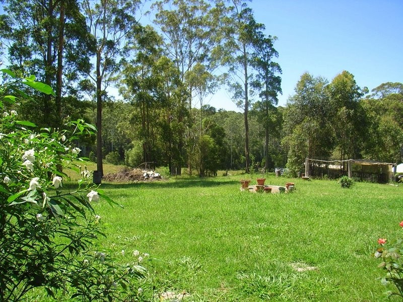 64 Joeliza Drive, Repton NSW 2454