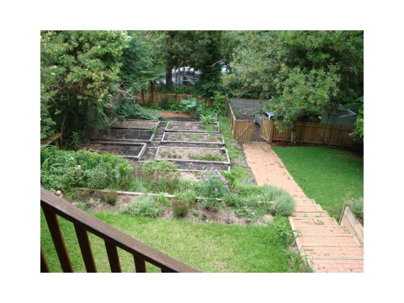 Bellingen NSW 2454