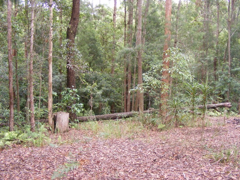 135 Hydes Creek Road, Bellingen NSW 2454