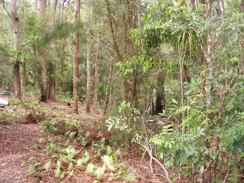 135 Hydes Creek Road, Bellingen NSW 2454