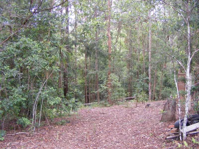 135 Hydes Creek Road, Bellingen NSW 2454