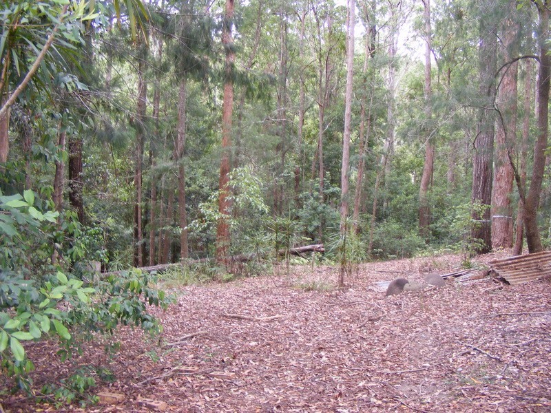 135 Hydes Creek Road, Bellingen NSW 2454