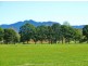 Bellingen NSW 2454