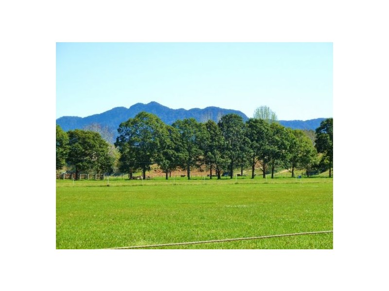 Bellingen NSW 2454